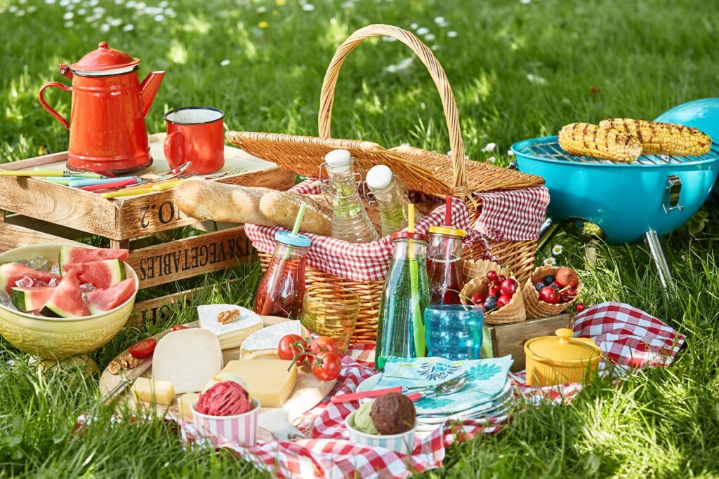 Picnic Set