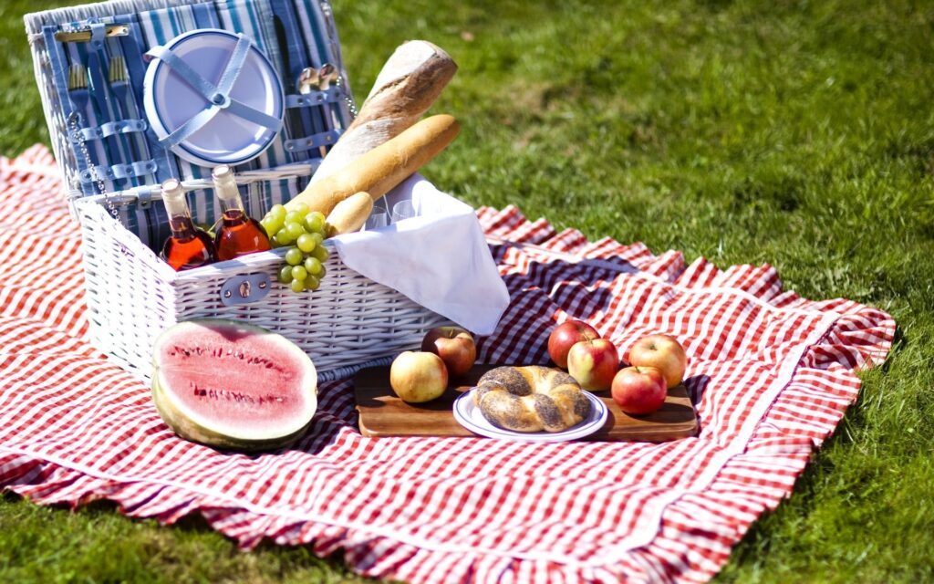Picnic Set